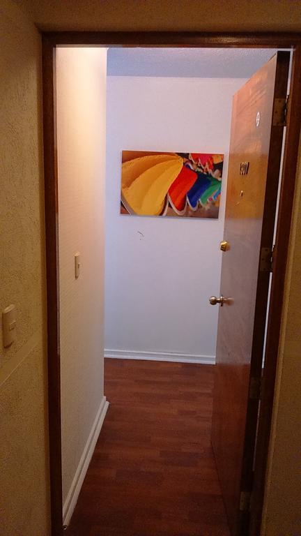 דירות סנטיאגו Departamento Paseo Bulnes Metro La Moneda חדר תמונה
